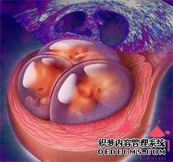 重庆助孕产子_重庆地下供卵机构_重庆哪一家做代孕好_什么环境中的孩子智商较