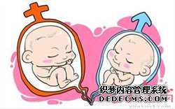 重庆有供卵试管吗_北钟祥市内能做“供卵”试管婴儿吗？