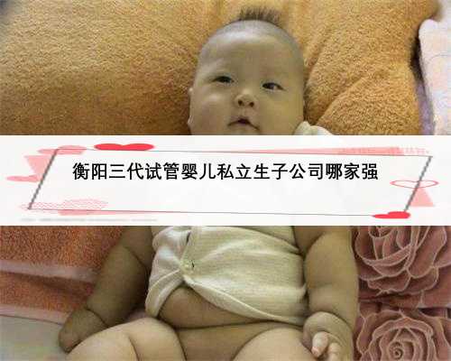 衡阳三代试管婴儿私立生子公司哪家强